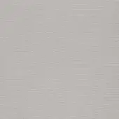 300304 - ICE